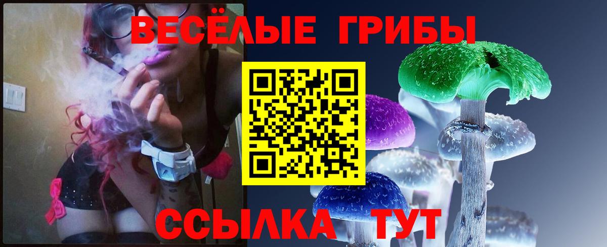 Комсомольск-на-Амуре  Галлюциногенные грибы MAGIC MUSHROOMS  Псилоцибиновые грибы Psilocybine cubensis  Вход с VPN 